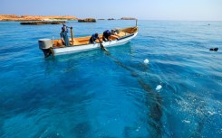 Reef Check Oman aims to build a full database of the country's coral reefs