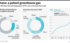 Methane: a potent greenhouse gas