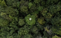 Drones are part of an increasingly sophisticated arsenal used by scientists to understand forests and their role in the battle against climate change