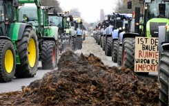 Farmers blocked a main road into central Berlin and dumped manure on the street in December after plans to end fuel and registration tax cuts 