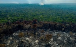 Burnt trees are seen after illegal fires were lit by farmers in Manaquiri, Amazonas state in September 2023