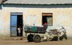 A child displaced from Al-Jazira state at the entrance of a temporary shelter in Gedaref in Sudan's east