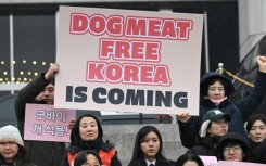 Animal rights activists hold placards during a rally welcoming a bill banning dog meat trade at the National Assembly in Seoul