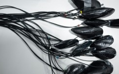 French startup MolluScan places sensors on muscles and other mollusks to detect water pollution, alerting regulators or companies to take action