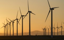Globally, renewable electric power infrastructure increased 50% last year, according to the International Eneragy Agency