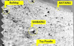 This handout photo released by the Japan space agency JAXA and credited to JAXA, University of Aizu and Ritsumeikan University shows lunar rocks captured by a spectroscopic camera on the Smart Lander for Investigating Moon (SLIM) module