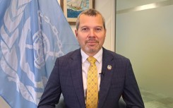 The IMO's objective is therefore to 'provide practical and operational measures so that ships can continue to operate',  Dominguez said 