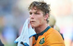 New Australia coach Joe Schmidt has sought advice from former skipper Michael Hooper
