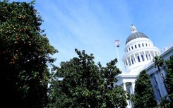 Legislators in the California state capitol are working on a flurry of laws aiming to crack down on abusive uses of artificial intelligence on the home turf of some of the world's powerful tech titans