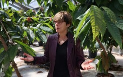 Saving chocolate: Israel scientist Ellen Graber 