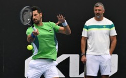 Novak Djokovic and Goran Ivanisevic had their ups and downs but the world tennis number one won 12 Grand Slams titles with him on his coaching team   