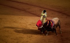 Bullfighting retains a passionate following in some circles in Spain and leading matadors are treated as celebrities