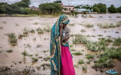 Campaigners have called for more financing to tackle the crisis