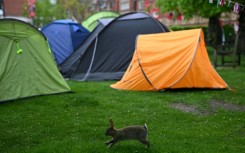 UK protests have also taken place at universities in Edinburgh, Newcastle, Leeds and Warwick