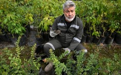 Former Colombian General Henry Torres is planting trees as part of a pilot project giving alternative sentences to those who confess to war crimes