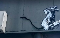 The rat went missing in 2019