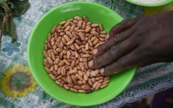 As drought hits Zimbabwe,  maworesa, a form of porridge, has been concocted to cover basic nutritional needs