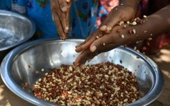 Children with peanut allergies must avoid eating peanuts and have self-injectable adrenaline available to fight allergic shocks, which can be fatal if they are accidentally exposed