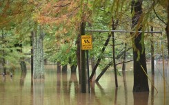 More than 4.3 million homes and businesses were without power across Florida, Georgia and the Carolinas