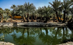 The vital water of the Khaybar oasis, where the town al-Natah was built more than 4,000 years ago