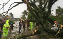 Government workers remove a fallen tree on a highway in Casiguran, Aurora province, after Typhoon Toraji hit the nation's northeast coast