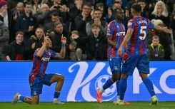 Daniel Munoz (left) salvaged a 1-1 draw for Crystal Palace against Newcastle