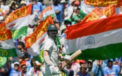 Fans turned out en masse for the Australia-India series