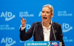 Weidel said an AfD government would close the borders to anyone travelling without documents