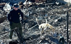 A cadaver dog sniffs through the rubble of beachfront properties destroyed by the Palisades Fire along the Pacific Coast Highway in Malibu, California