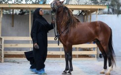 In a city scarred by decades of conflict, for some the sight of Muse on her horse represented newfound peace 