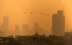 Birds fly past a Bangkok skyline coloured by high air pollution