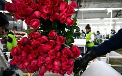 People are advised to be 'politely paranoid' when making potentially romantic connections with strangers online to avoid being scammed