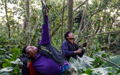 Hunter Wu Cheng-hua aims his slingshot at an iguana in a tree in Pingtung