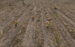 Conservation efforts can have  unintended consequences but experts say these are rarely considered or even properly understood