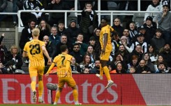 Brighton's Danny Welbeck (R) celebrates after scoring against Newcastle