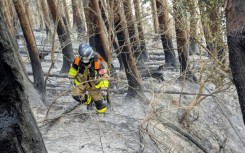 The fire has burnt an area around half the size of Manhattan