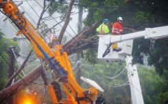 Energex utility crews clear a fallen tree following the passage of tropical cyclone Alfred in Brisbane 