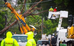 Utility crews clear a fallen tree following the passage of ex-tropical cyclone Alfred in Brisbane 
