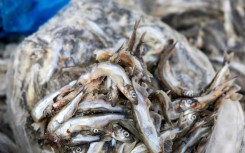 The ice-clad island depends on revenue from its fishing sector - and subsidies from Denmark