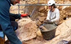 Palaeontologists unearthed the bones at the Sima del Elefante, or 'elephant pit' in northern Spain