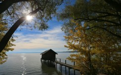 Feel better? Just looking at digital pictures of nature can help relieve pain, according to new research