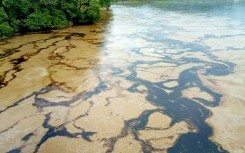 This handout picture from the Ecuadoran municipality of Esmeraldas shows the effects of the oil spill in the Esmeraldas River