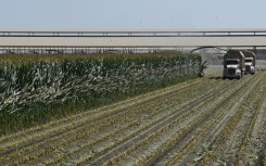 US farmers are anxious to see how planned tariffs and retaliation will be resolved