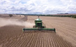 The EU plans to hit US soybeans imports with tariffs, after officials said Europe could buy the stuff from Brazil