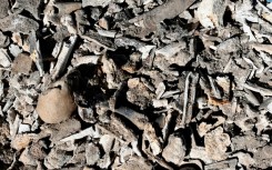 Human bones and clothing were discovered at a ranch in western Mexico in March