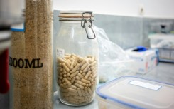 Religious devotees have eaten the psychotropic shrub for centuries