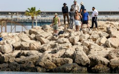 People have become increasingly curious about the sharks off the coast of Hadera, central Israel