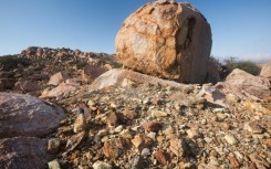 The rare earths sector is dominated by China, though several countries have significant reserves