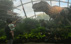 Visitors view animatronic and sculpted dinosaurs during a preview of 'Jurassic World: The Experience' at Cloud Forest, Gardens by the Bay in Singapore, May 26, 2025. The fascination with T-Rex continues as scientists identify a new, smaller ancestor of the iconic predator from 50-year-old fossils found in Mongolia.