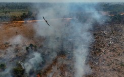 Illegal burning of the Amazon rainforest near Humaita, in the northern Brazilian state of Amazonas, in September 2024